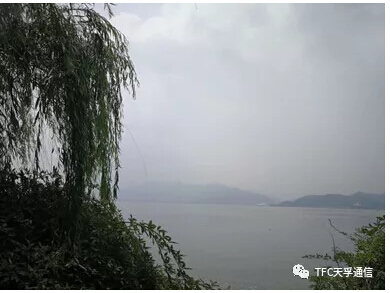问鼎国际(中国区) - 官方网站